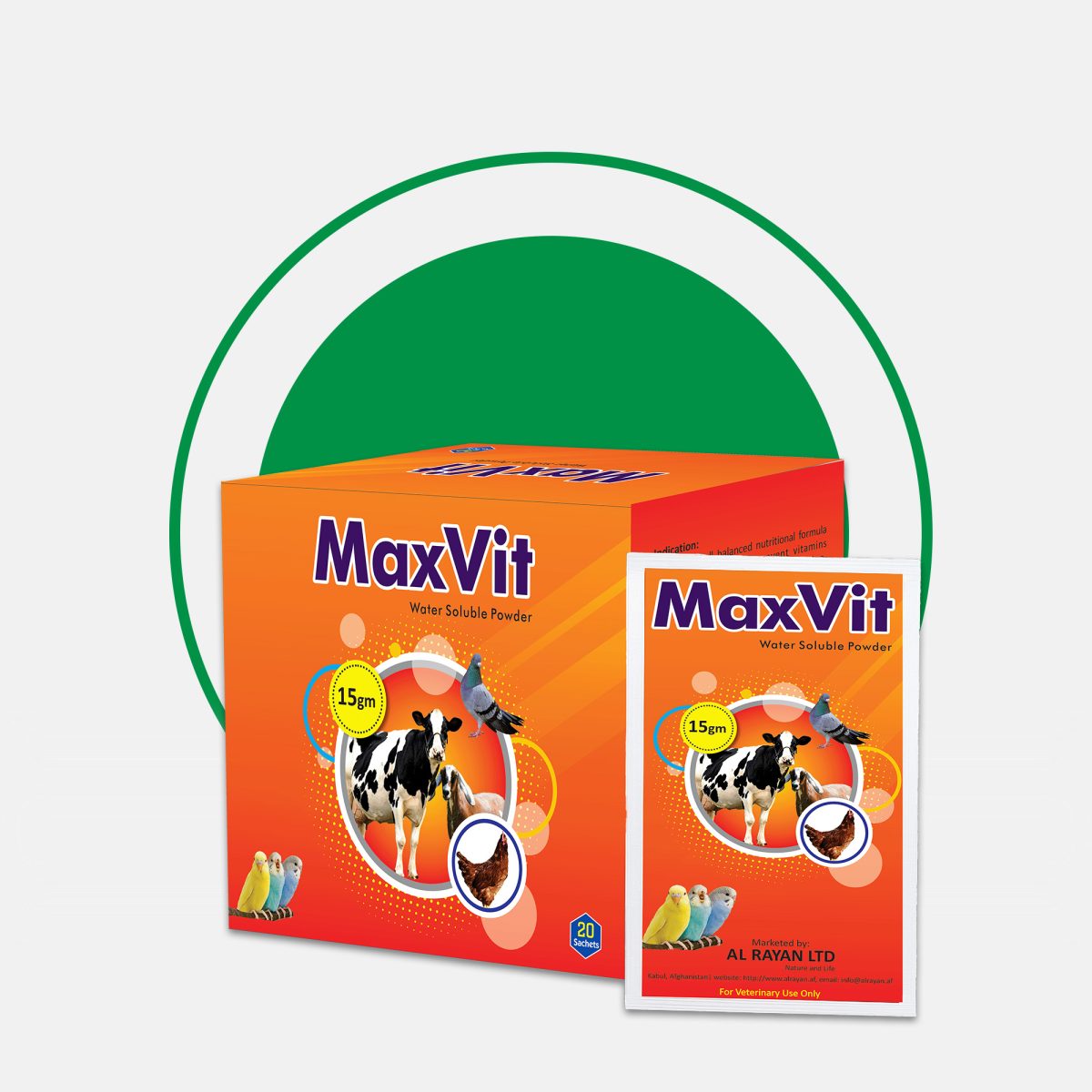 Max Vit